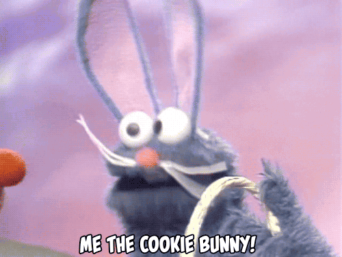 The Cookie Bunny