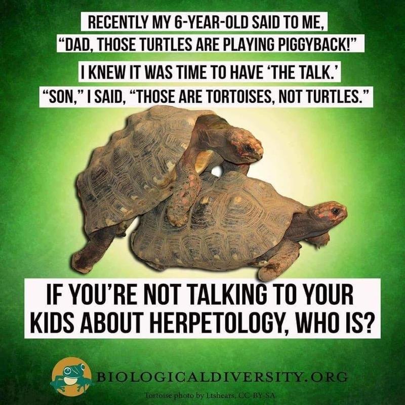 If you're not talking to your kids about herpetology, who is?