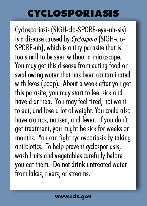 Infectious Disease Trading Cards - Series 1 - Cyclosporiasis - Back