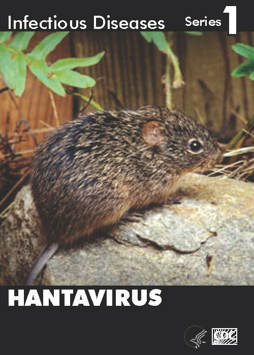 Infectious Disease Trading Cards - Series 1 - Hantavirus - Front