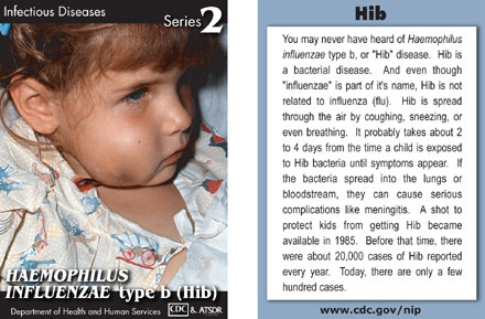 Infectious Disease Trading Cards - Series 2 - HIB