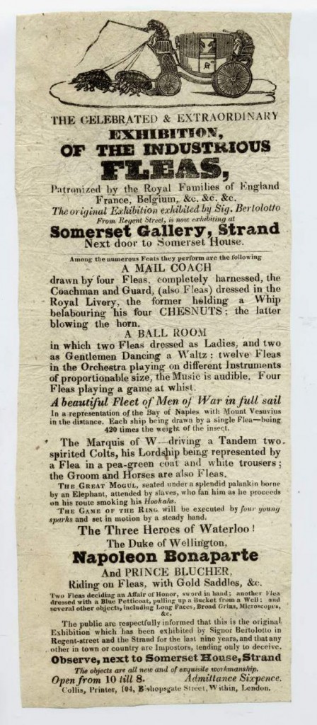 Flea Circus Ad