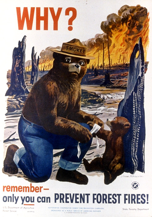 1953 Smokey The Bear Poster: Why?