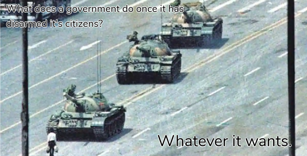 What does a government do once it has disarmed it's citizens? Whatever it wants.