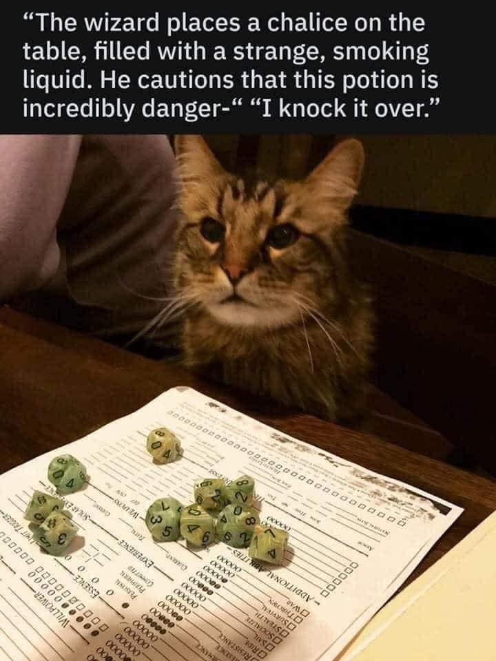 A Cat Plays Dungeons & Dragons
