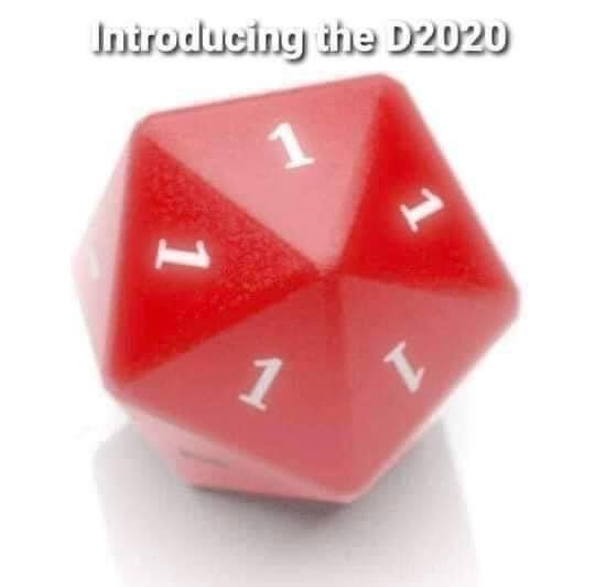 The D2020