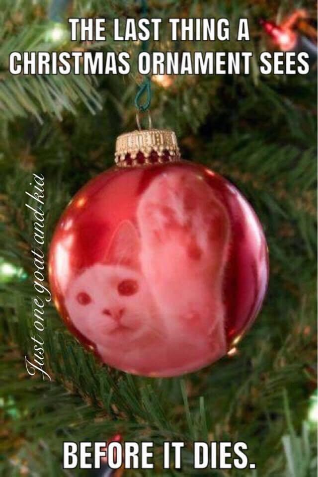 The Last Thing a Christmas Ornament Sees Before It Dies