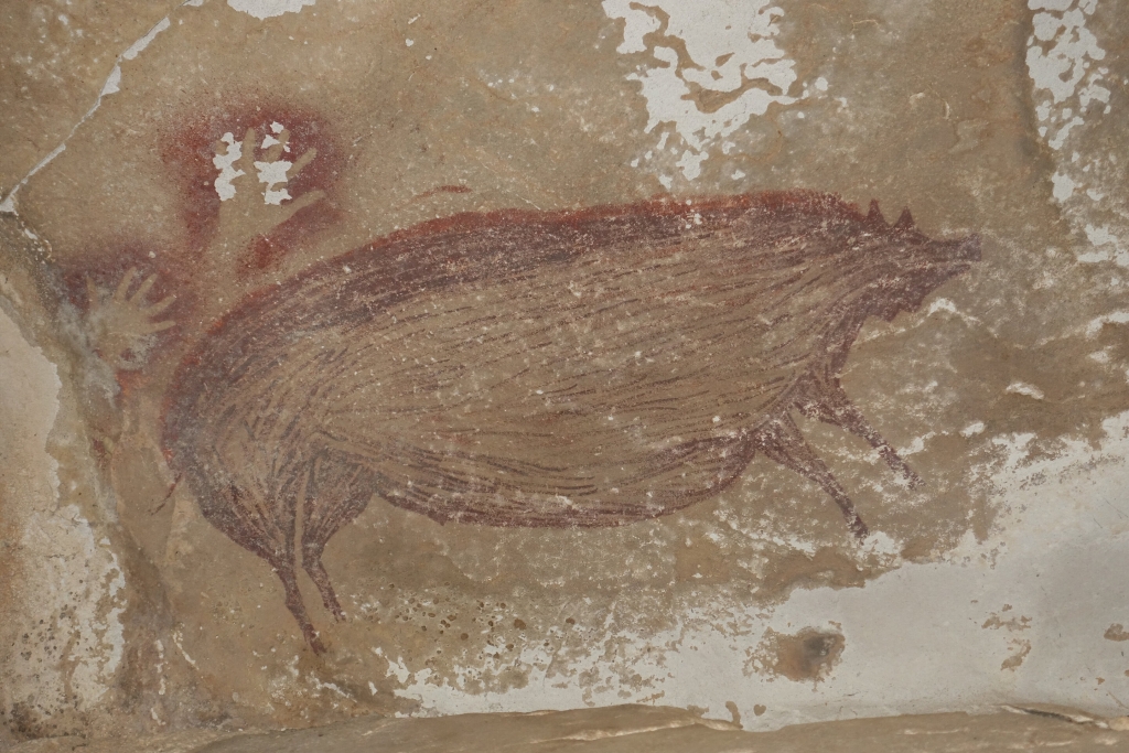 Indonesian Cave Painting of Wild Pig