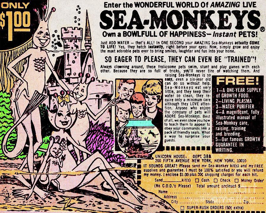Sea Monkeys Ad, 1970s