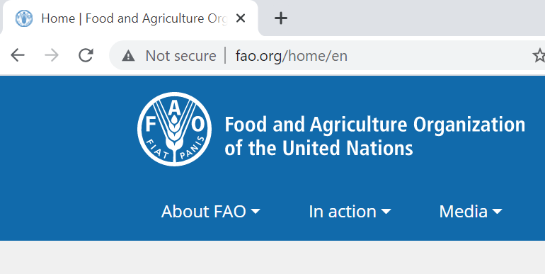 Food and Agriculture Organization of the United States