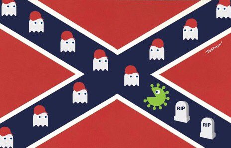 Coronavirus Confederate Flag