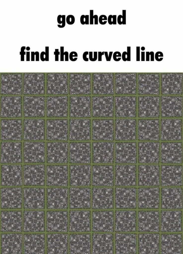 Find The Curved Line Optical Illusion