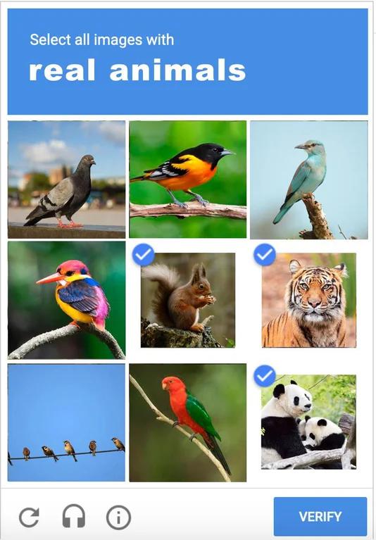 Birds Aren't Real CAPTCHA