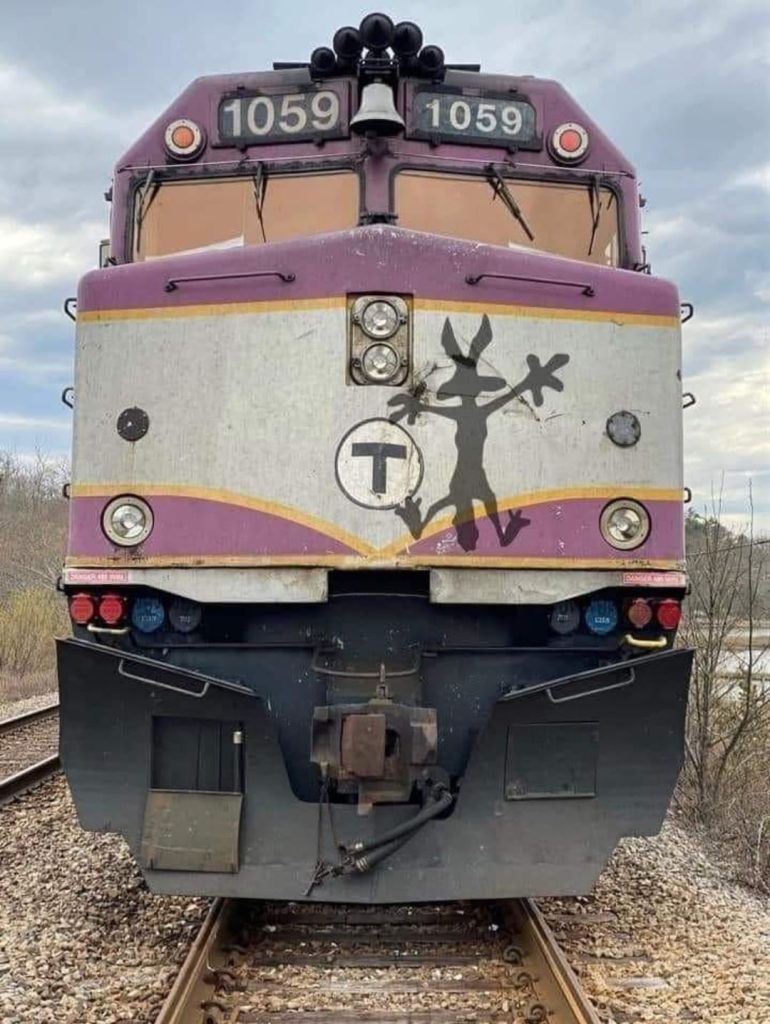 Wile E. Coyote Meets Train